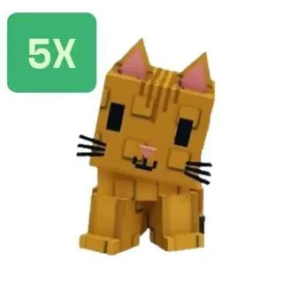 Orange Tabby