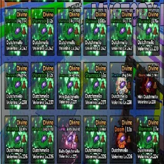 12x Dutchmello Velerino