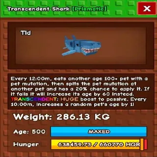 HUGE TRANSCEDENT SHARK