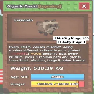 Colossal Gigantic Tanuki