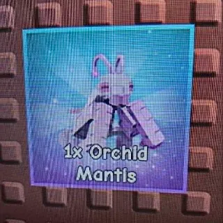 Orchid
Mantis