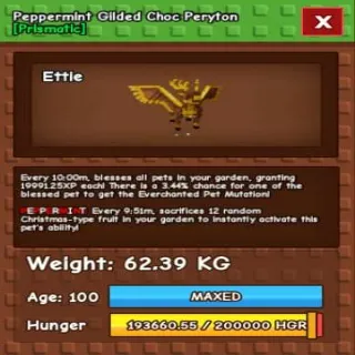 Huge Peppermint Glided Choc Peryton