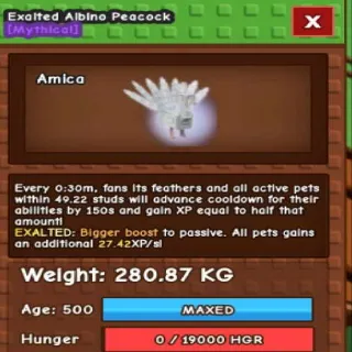 Huge Exalted Albino Peacock