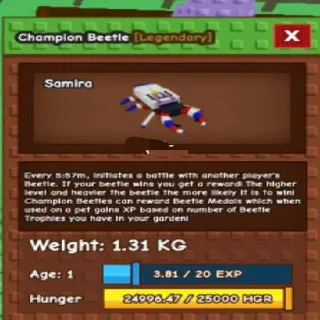 Huge Champion Beetle