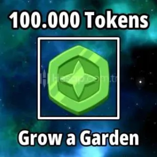 100,000 Tokens