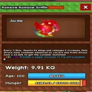 RAINBOW RAINBOW GRIFFIN