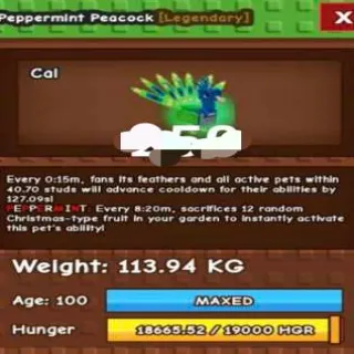 Colossal Peppermint Peacock