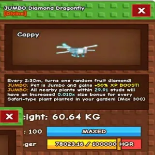 Jumbo Diamond Dragonfly 60kg