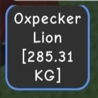 HUGE OXPECKER LION