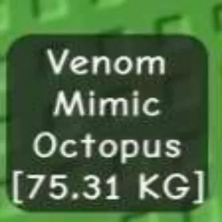 Huge Venom Mimic Octopus 75kg