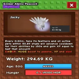Huge Ember Albino Peacock