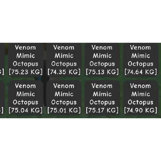 X8  Huge Venom Mimic Octopus  75kg