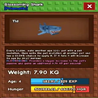 Huge Blossoming Shark