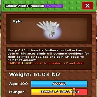 Huge Ember Albino Peacock