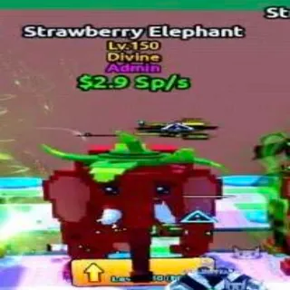 Strawberry Elephant Admin