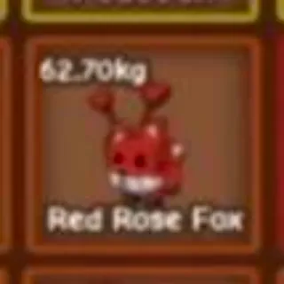 Huge Red Rose Fox