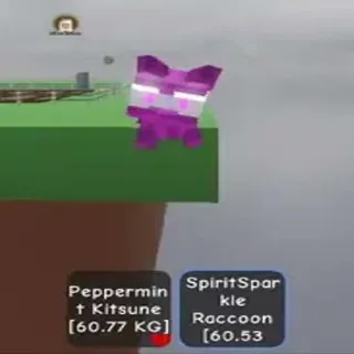 Spiritsparkle Racoon