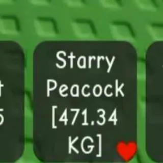 Titanic Starry Peacock