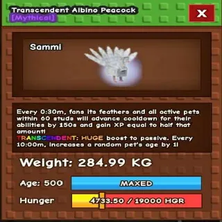 Huge Transcedent Albino Peacock