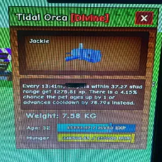 Tidal Ocra