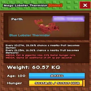 Huge Mega Blue Lobster Thermidor