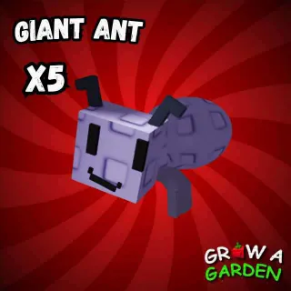 Giant Ant