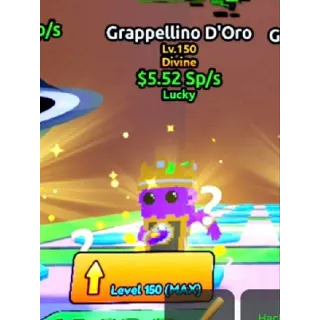 Lucky Grappellino D'Oro