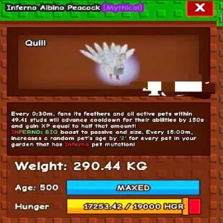 Huge Inferno Albino Peacock