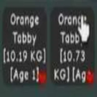 2pcs Colossal Orange Tabby