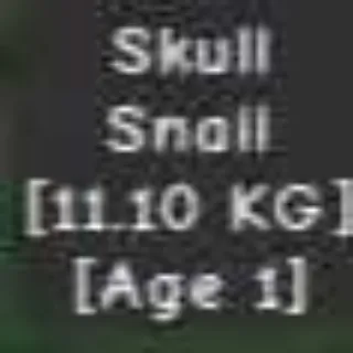 Colossal Skull Snail