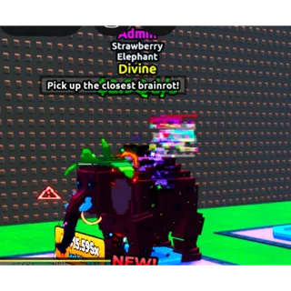 Strawberry Elephant - ETFB