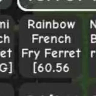 Rainbow French Fry Ferret
