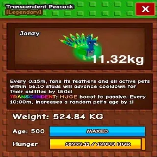 Huge Transcedent Peacock