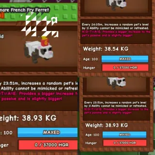 SEMI HUGE NIGHTMARE FRENCH FRY FERRET