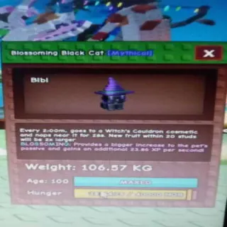 Colossal Blossoming Black Cat