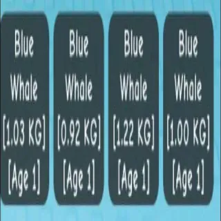 X4 Blue Whale