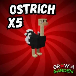 Ostrich