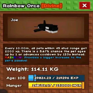 Colossal Rainbow Orca