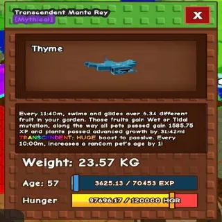 Huge Transcedent Manta Ray