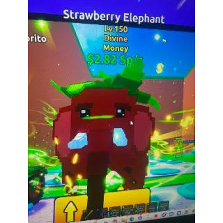 Money Strawberry Elephant
