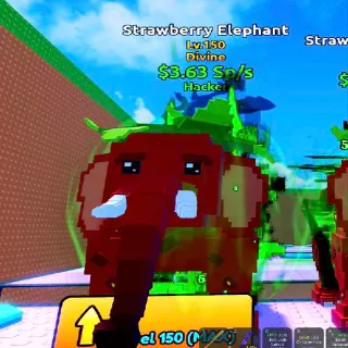 Hacker Strawberry Elephant