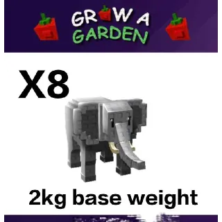 Elephant