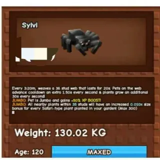 Colossal Jumbo Spider