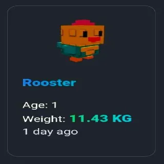 Colossal Rooster