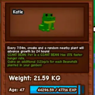 Huge Frog Giant Bean
