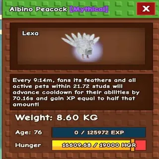 Albino Peacock