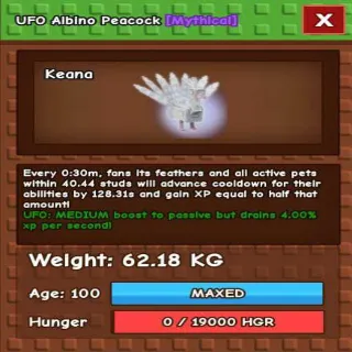 HUGE UFO ALBINO PEACOCK