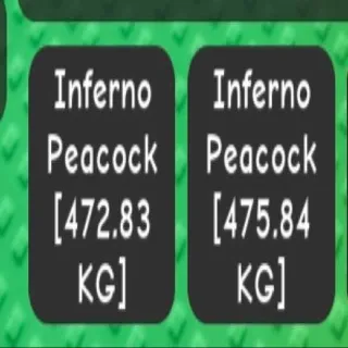 X2 Colossal Inferno Peacock