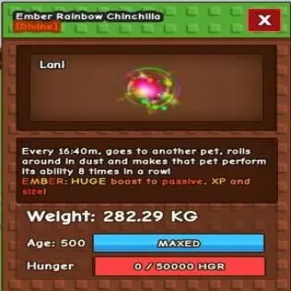 Huge Ember Rainbow Chinchilla