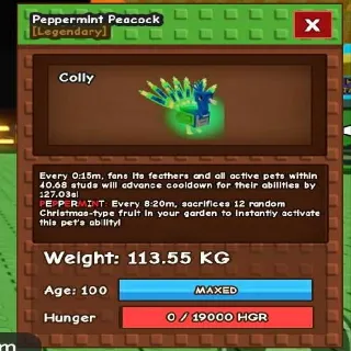 Colossal Peppermint Peacock